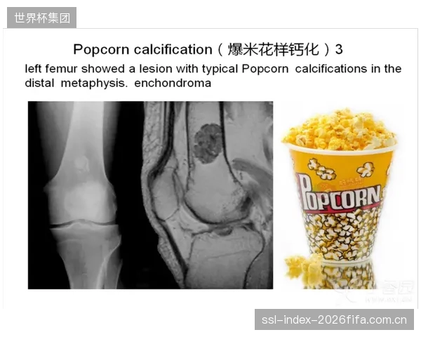 保险业开始关注EN14904:精确的冲击吸收率数据,正成为界定场馆方在运动员受伤事件中责任的关键证据 保险业开始关注EN14904:精确的冲击吸收率数据,正成为界定场馆方在运动员受伤事件中责任的关键证据